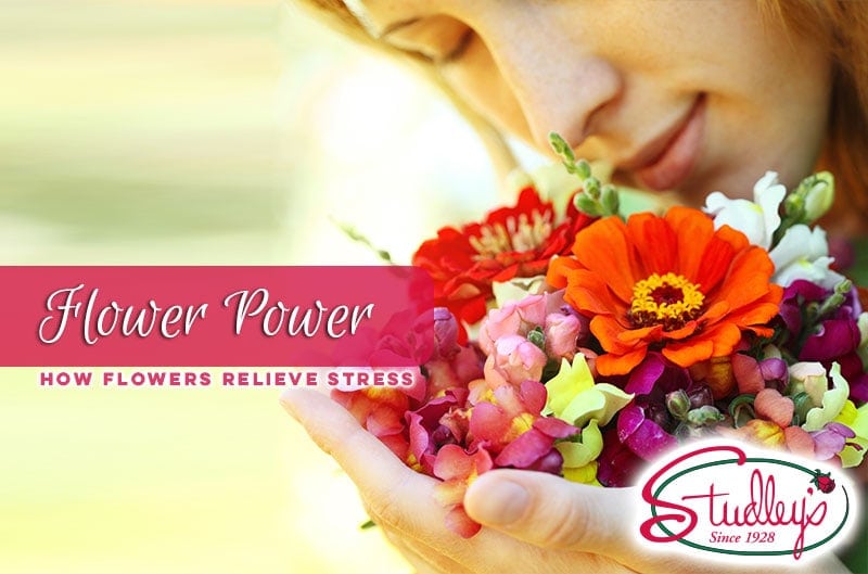 Woman holding colorful flowers near her face by Studley Flower Gardens