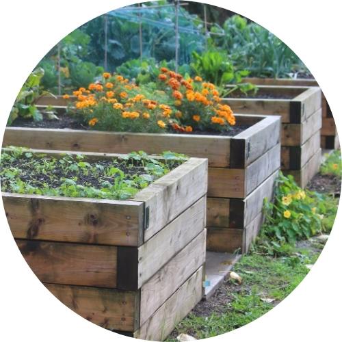 Raised Garden Beds
