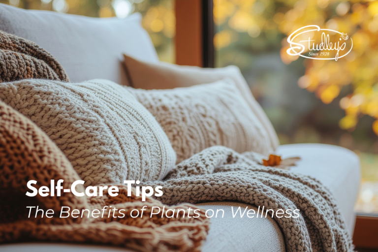 Autumn vibe and cozy couch by Studley Flower Gardens