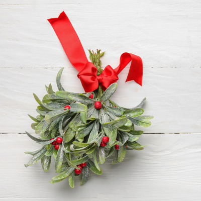 Mistletoe bundle with red ribbon and berries by Studley Flower Gardens