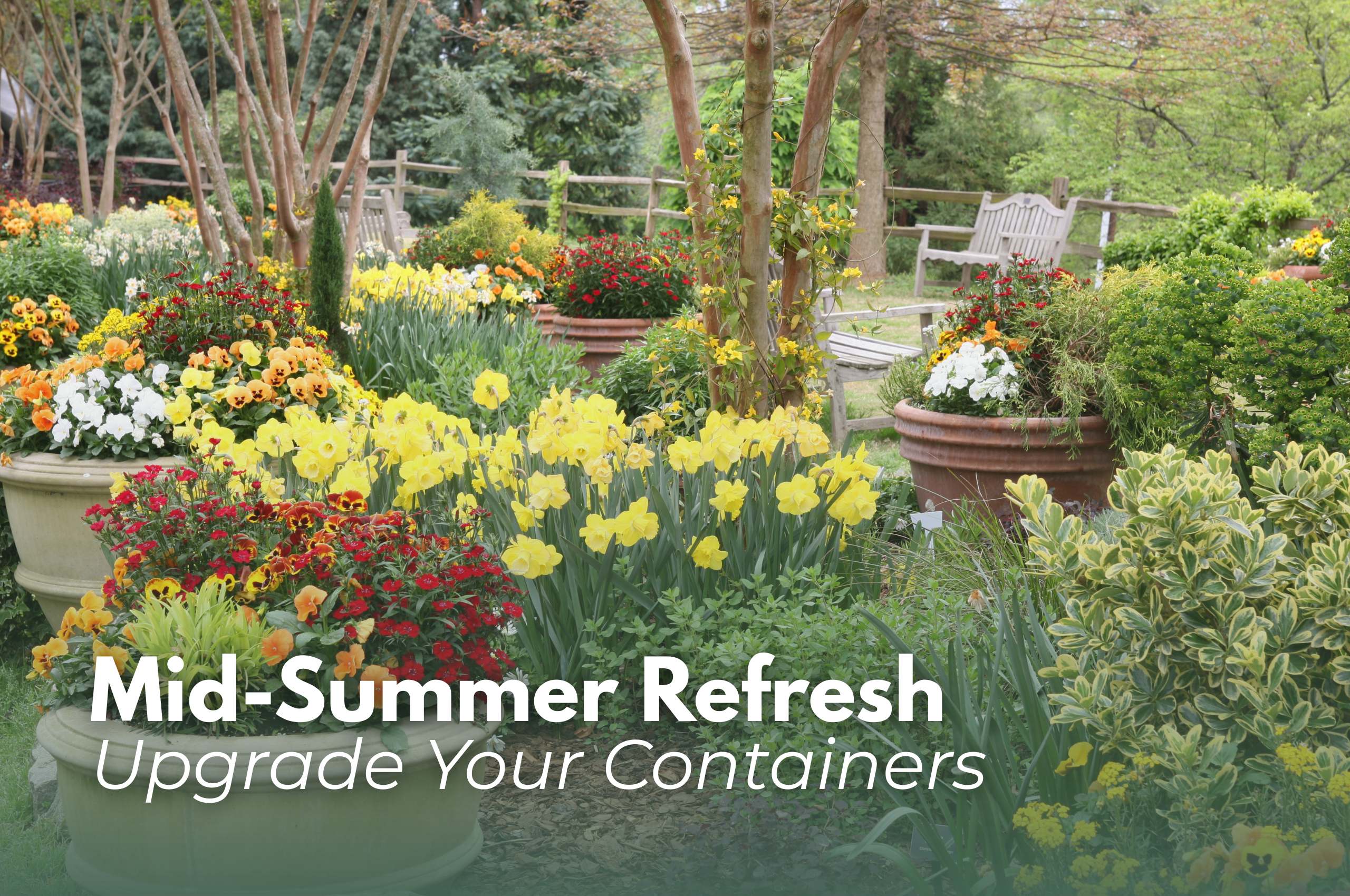 Colorful flower containers in a garden display by Studley Flower Gardens