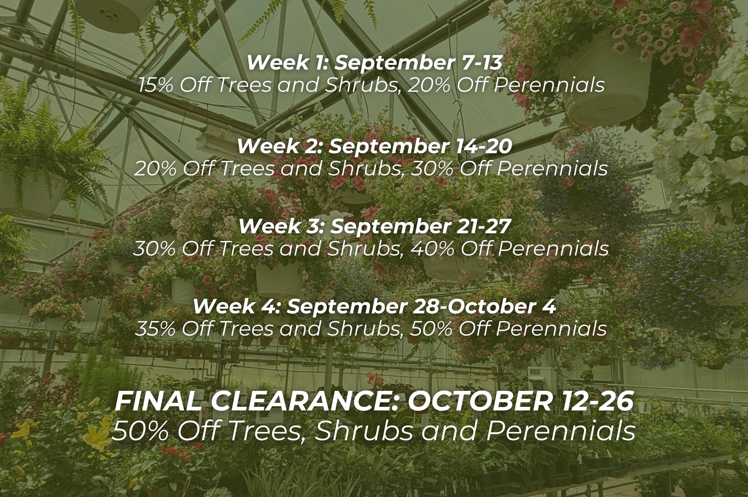 Hanging greenhouse baskets with fall sale schedule text by Studley Flower Gardens