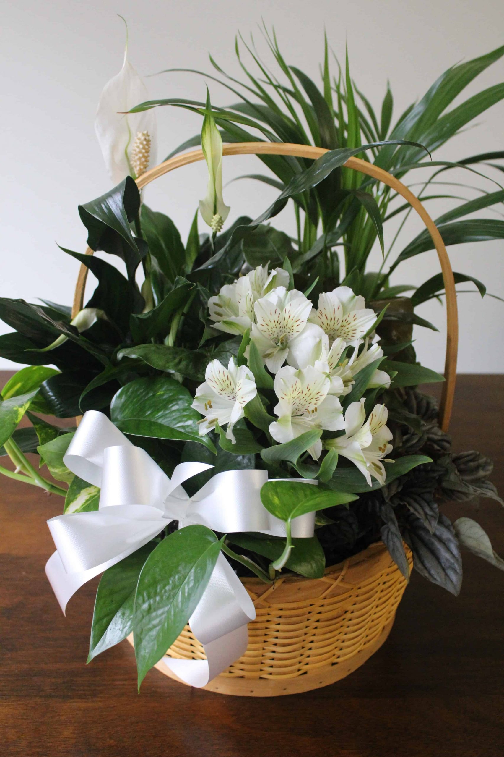 Peace dishgarden in wicker basket with white flowers by Studley Flower Gardens