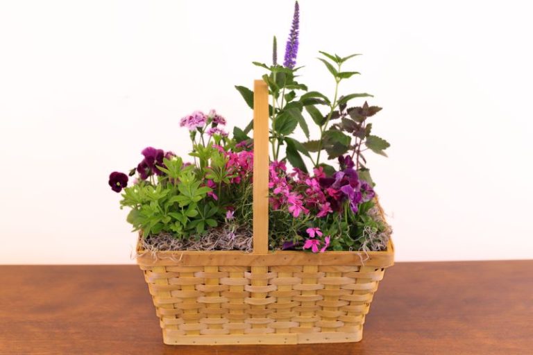 Perennial Basket Lush