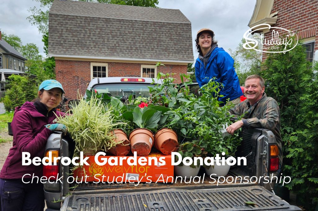 garden plants bedrock gardens donation