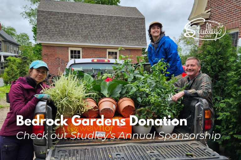 garden plants bedrock gardens donation